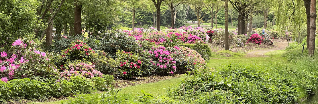 Rhododenronpark